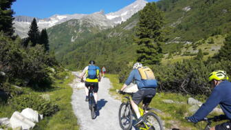 Eine Mountainbike-Gruppe unterwegs auf einem Steig fahrend. Im Hintergrund sind die Berge zu sehen.