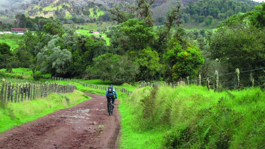 Ein Mountainbiker unterwegs durch Costa Rica. Er fährt auf einer erdigen Straße. Im Hintergrund ist der Regenwald zu sehen.