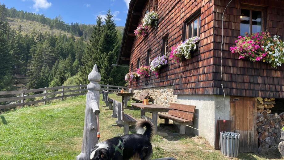 Ein Hund vor einem Bauernhaus