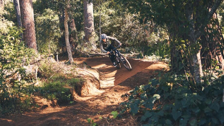 Ein Mountainbiker unterwegs im Wald auf einem Trail beim Fahrtechniktraining.