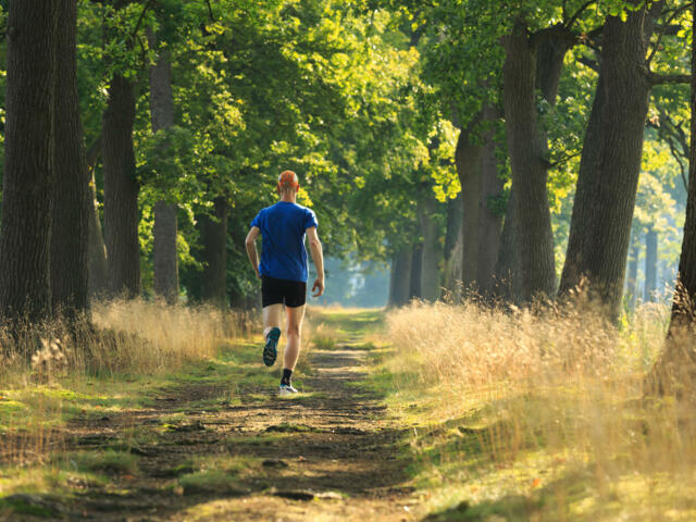 Trailrunning Kurs in den Brennerbergen