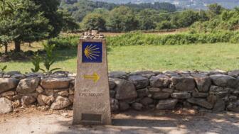 Jakobsweg-Schild mit Muscher in grüner Landschaft