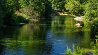 Natürliches Flussbecken in der Region Pesqueiras in O Rosal, reflektieren der Bäume  im Wasser
