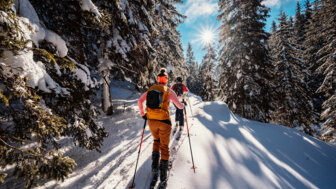 Skitourengruppe im Wald bei Sonnenschein