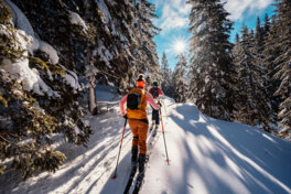 Skitourengruppe im Wald bei Sonnenschein
