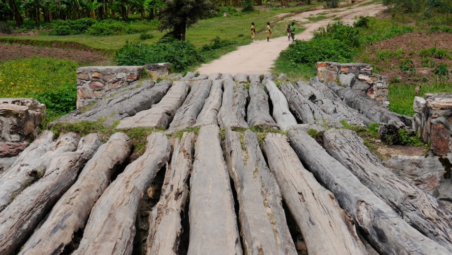 Eine Holzbrücke aus dicken Holzstämmen gebaut. Im Hintergrund ist eine grüne Landschaft zu sehen.