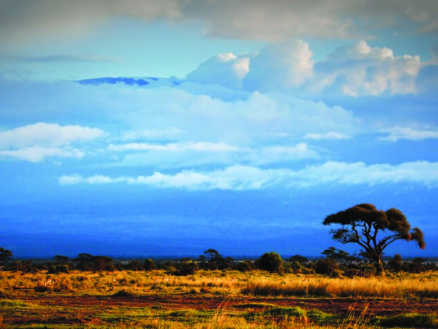 Kilimandscharo Besteigung auf der Machame-Route