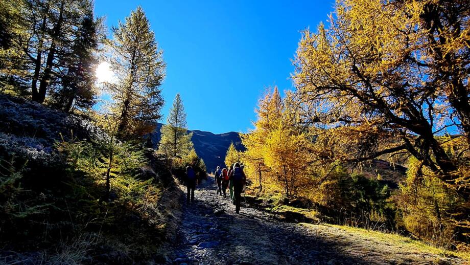 oesterreich-wanderprogramm-obernbergtal-almis berghotel-sehhalm-img-20251015-wa0076.jpg