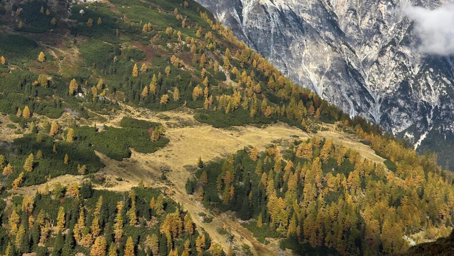 oesterreich-wanderprogramm-obernbergtal-almis berghotel-sehhalm-20251016-111941.jpg