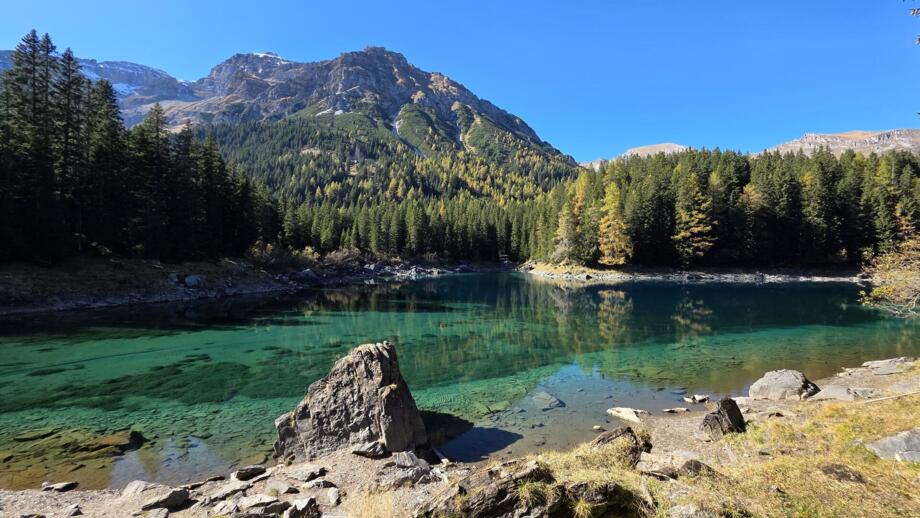 oesterreich-wanderprogramm-obernbergtal-almis berghotel-sehhalm-20251013-141533.jpg