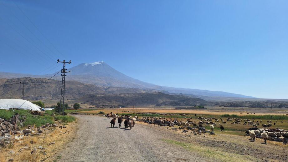 Der Blick Richtung Ararat.