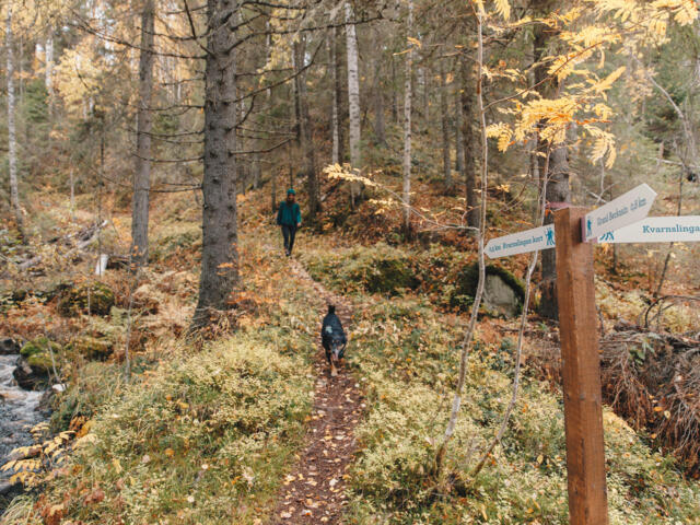Schwedisch Lappland - Im Rhythmus des Nordens