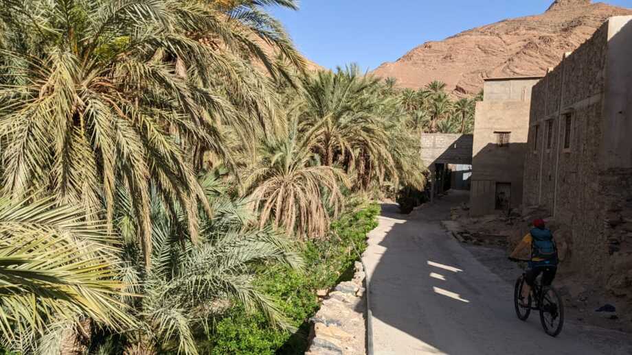Ein Mountainbiker fährt durch ein kleines Dorf in Marokko. Am Wegesrand sind Palmen. In Hintergrund sieht man die Berge des Atlasgebirges.