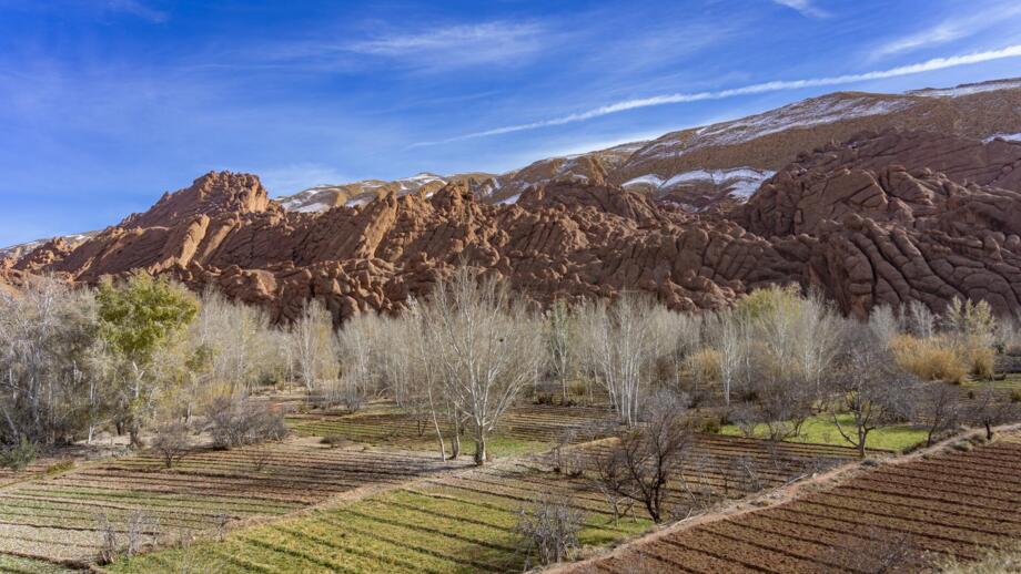 marokko-dades tal-monkey fingers-MAVAL-shutterstock_2731780607.jpg