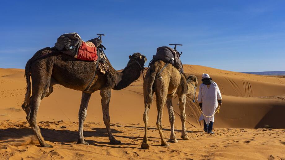 marokko-sahara-erg chebbi-MAVAL-shutterstock_2733333591.jpg