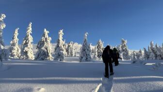 Eine Gruppe, die bei Sonnenschein in der verschneiten Landschaft Schwedisch Lapplands wandert