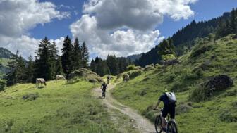 Eine MTB-Gruppe unterwegs auf Tour im Allgäu. Im Hintergrund ist die Allgäuer Bergwelt zu sehen. Der Himmel ist bewölkt.