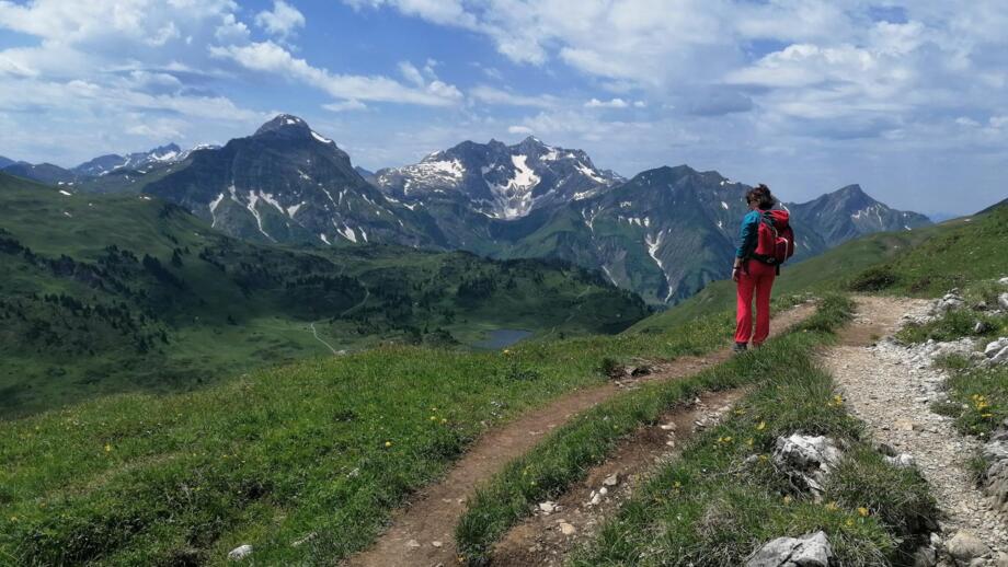 Wanderin in Wiesenlandschaft mit Hochvogel 2592m im Hintergrund