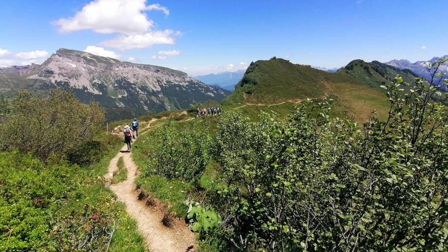 Wandergruppe auf herrlichen Panoramawege