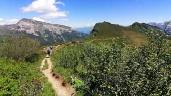 Wandergruppe auf herrlichen Panoramawege