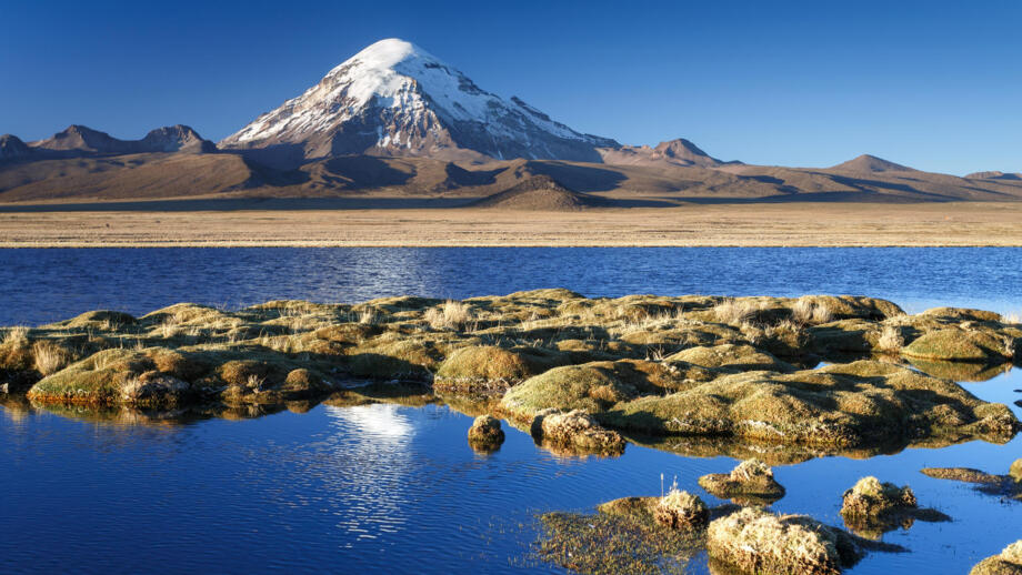 See von vergletscdherten Vulkan in Bolivien