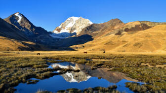 Eisberg, See, Weide und Pferde in der Cordillera Real