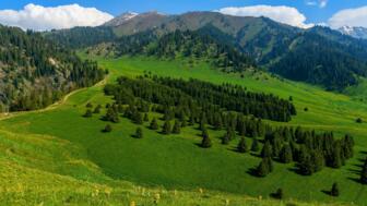 Sattgrüne wiesen und Wälder im Tienshan