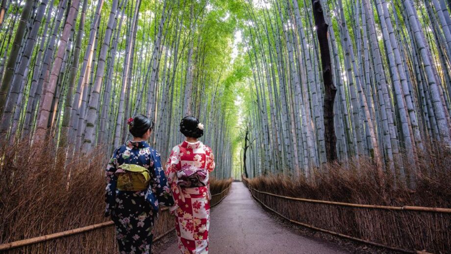 Spaziergang zweier Damen in traditioneller Kleidung durch den Bambuswald
