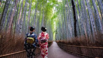 Spaziergang zweier Damen in traditioneller Kleidung durch den Bambuswald