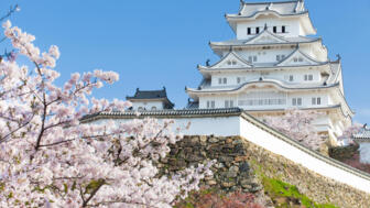 Das Schloss Himeji mit herrlichen Kirschblüten im Vordergrund