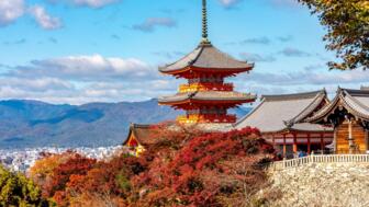 Buddhistische Pagode in Kyoto mit Bäumen und Buschwerk in herbstlicher Färbung