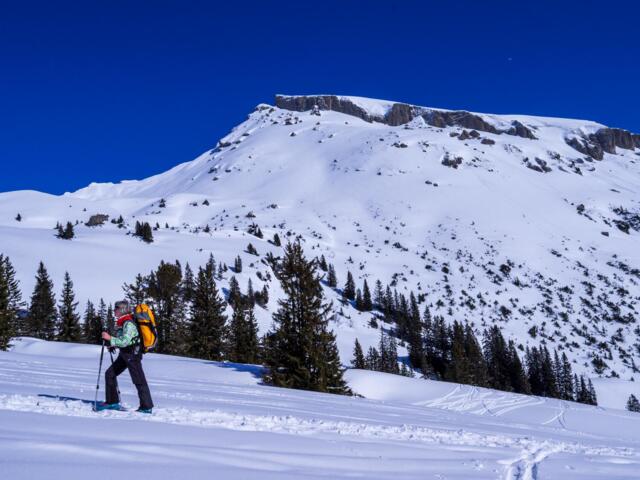 Skitourengeherin mit Bergpanorama im Hintergrund