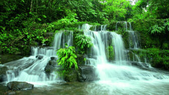 Aufnahme im Regenwald vom Wasserfall des Flusses Archidona