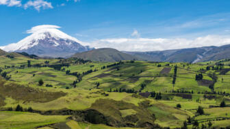 Panorama Aufnahme von grünen Feldern und im Hintergrund der Berg Chimborazo