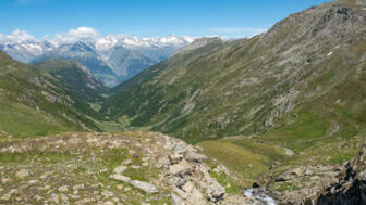 Weitblick
