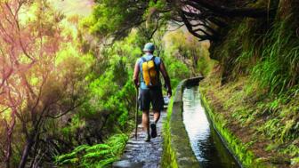Wanderer auf Madeira mit Levada und grüner Vegetation