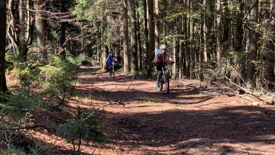 Ein Mountainbiker fährt auf einem Fortweg durch den Wald.