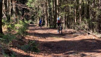 Ein Mountainbiker fährt auf einem Fortweg durch den Wald.