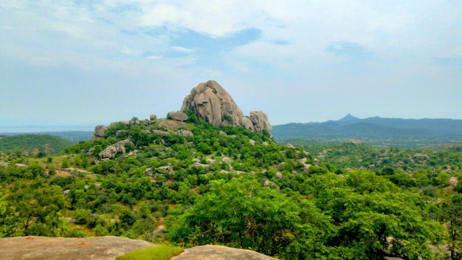 Grüne und bewaltede Hügellandschaft in Rajasthans Aravalli-Bergen mit Fels