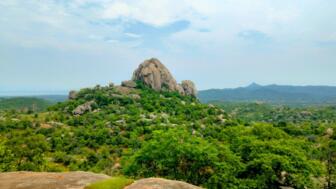 Grüne und bewaltede Hügellandschaft in Rajasthans Aravalli-Bergen mit Fels
