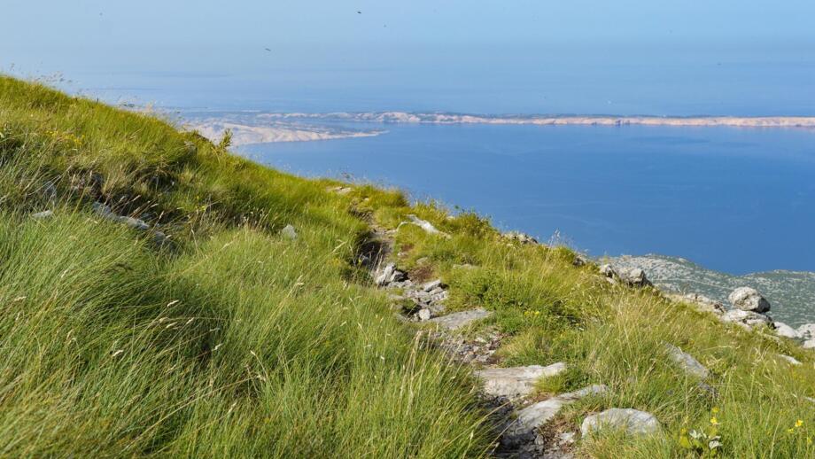 Weitwanderweg im Velebit Nationalpark oberhalb der adraitischen Küste