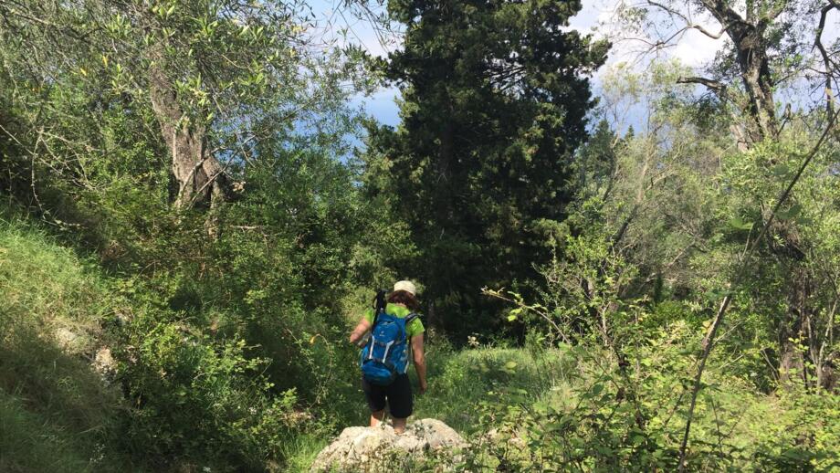 Wanderin auf dem Korfu Trail
