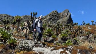 uganda-ruwenzori-ugruw-2025-img_6770.jpg