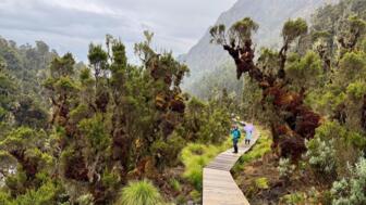 uganda-ruwenzori-ugruw-2025-img_2758.jpg