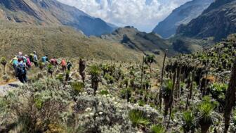 uganda-ruwenzori-ugruw-2025-img_2699.jpg