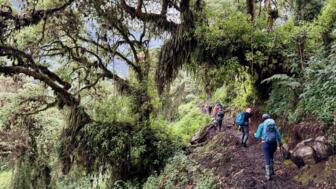 uganda-ruwenzori-ugruw-2025-img_1315.jpg