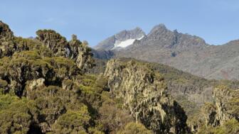 uganda-ruwenzori-ugruw-2025-img_1605.jpg