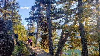 Wandergruppe auf herrlichen Panoramawege
