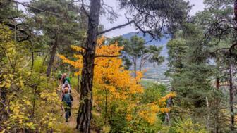 Wandergruppe auf herrlichen Panoramawege