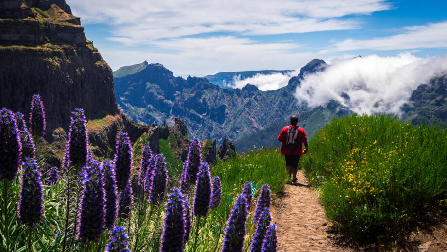 Wanderer im Zentralmassiv Madeiras mit Blumen und Bergen